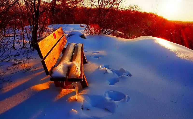 Winter sun, rest, glow, sun, snow, bench, bonito, winter, HD wallpaper
