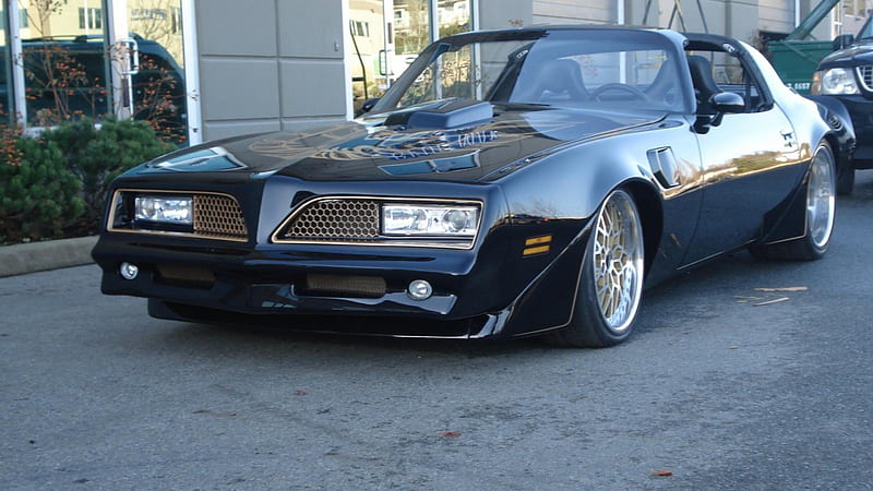 Trans am, musclecar, ss, pontiac, HD wallpaper | Peakpx