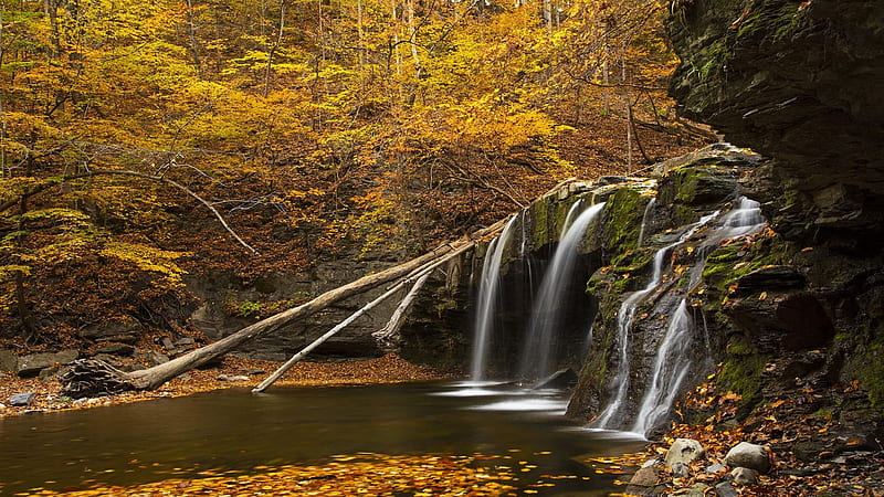 fall upstate ny - Forests & Nature Background Wallpapers on