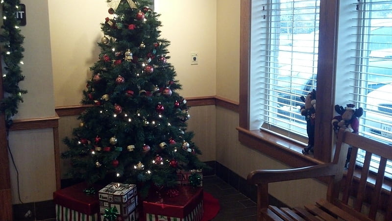 A Bob Evans Christmas, christmas tree, oh christmas tree, bob evans, HD wallpaper