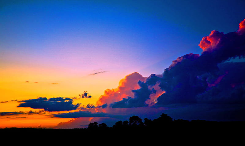 The thunder rolls, sunset, trees, sky, dark clouds, blue, storm brewing, HD wallpaper
