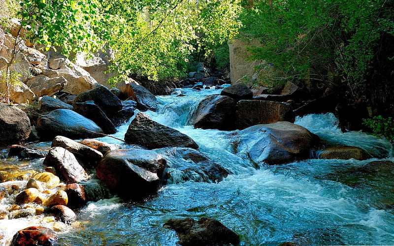 mountain creek-rivers Landscape, HD wallpaper