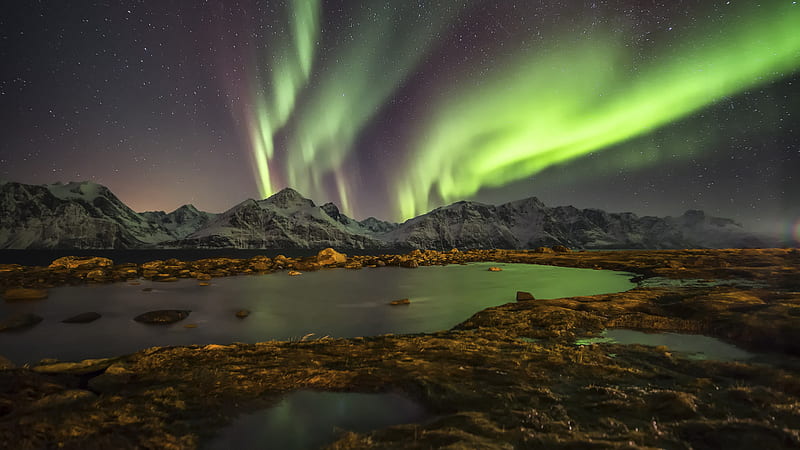 norway, night, northern lights Laptop Full , Nature , , and Background, Green Northern Lights, HD wallpaper