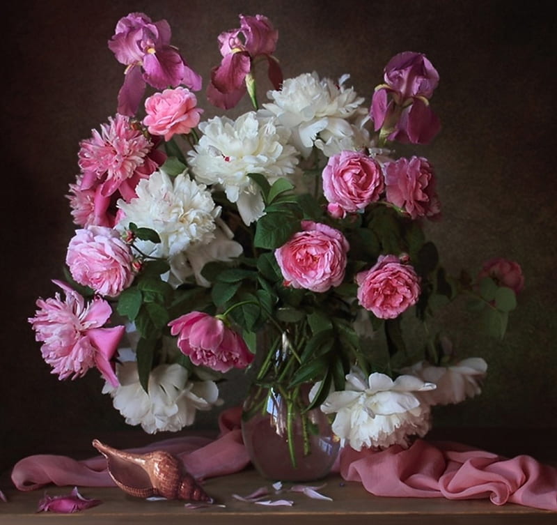 Still Life, roses, white, pink, HD wallpaper | Peakpx