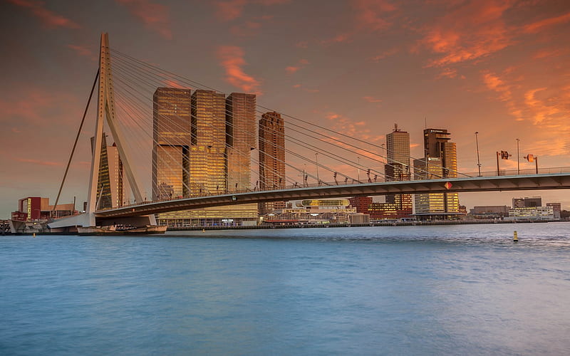 Rotterdam, Erasmusbrug, Erasmus Bridge, Netherlands, evening, sunset, modern buildings, beautiful city, bridges, HD wallpaper
