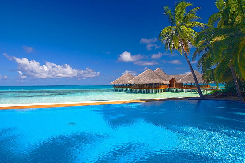 Maldives, travel, bonito, sea, palm trees, nice, destination, tropics, rest, huts, vacation, exotic, lovely, ocean, relax, sky, palms, water, island, nature, tropical, HD wallpaper