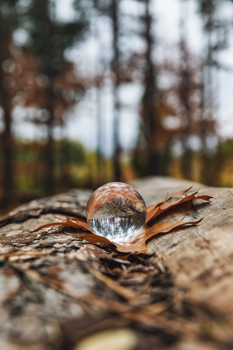 crystal ball, ball, leaf, reflection, autumn, HD phone wallpaper
