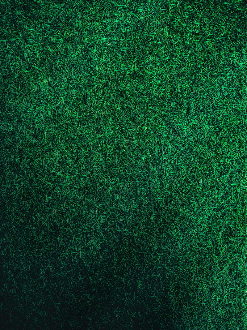 grass, green, lawn, aerial view, HD phone wallpaper