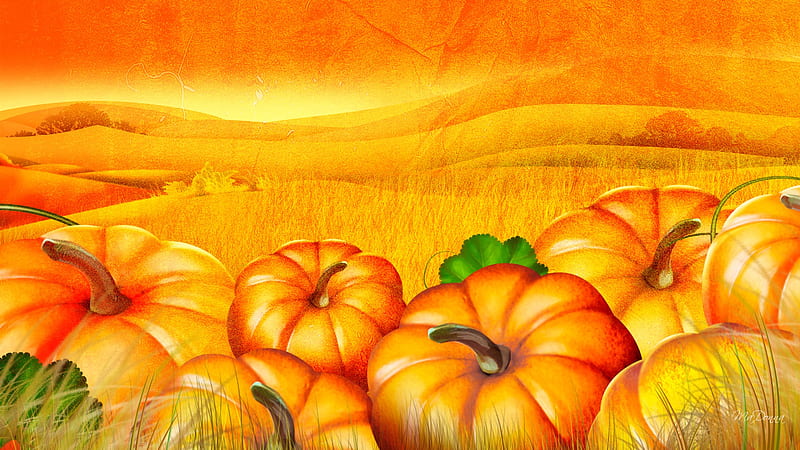 The Pumpkin Patch, fall, autumn, harvest, orange, halloween, firefox persona, thanksgiving, pumpkin, garden, field, HD wallpaper