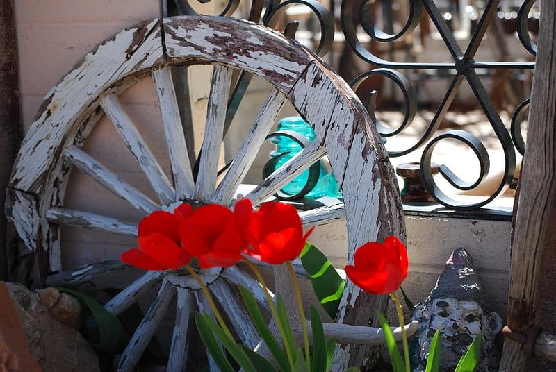 A sunny day ~~, red, wonderful, wooden wheel, sunny, bonito, siempre, flowers, garden, nature, tulips, sunshine, HD wallpaper