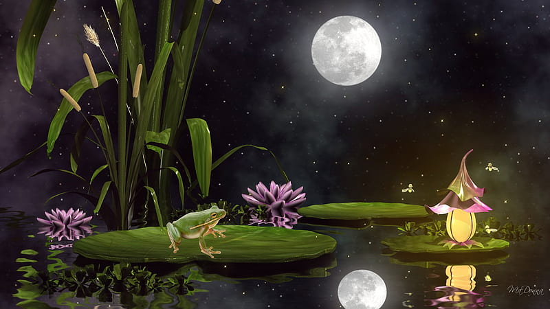 Frogs Fancy, stars, cat tails, firefox persona, sky, pond, frog, fantasy, lily pads, full moon, fire fly, lily, reflection, night, HD wallpaper