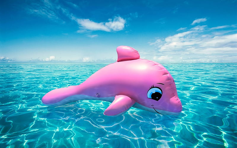 Pink Dolphin , beach, dolphin, pink dolphin, coral reef, inflatable toy, HD wallpaper