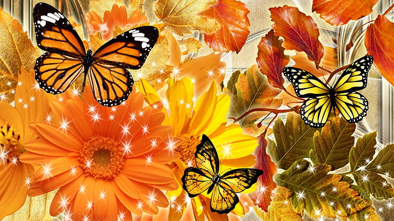 Orange Yellow Flowers & Butterflies, gerberas, autumn, orange, glitter, butterflies, sparkle, summer, flowers, Firefox Persona theme, HD wallpaper