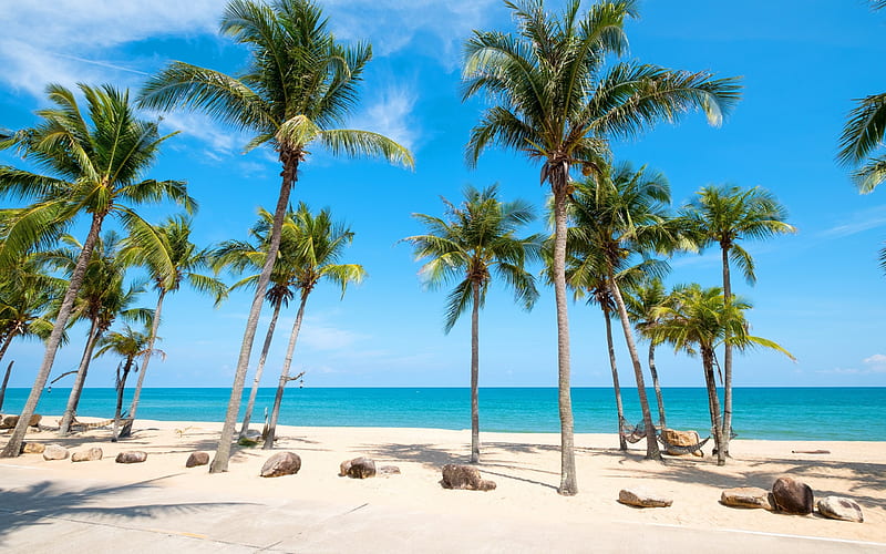 palms, beach, tropical islands, Seychelles, ocean, summer travels, HD wallpaper