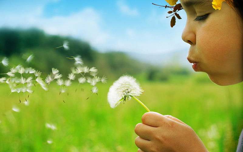 innocent wishes, wish, sky, clouds, cute, dandelion, innocent, girl, green, flowers, nature, child, weeds, white, field, blue, HD wallpaper