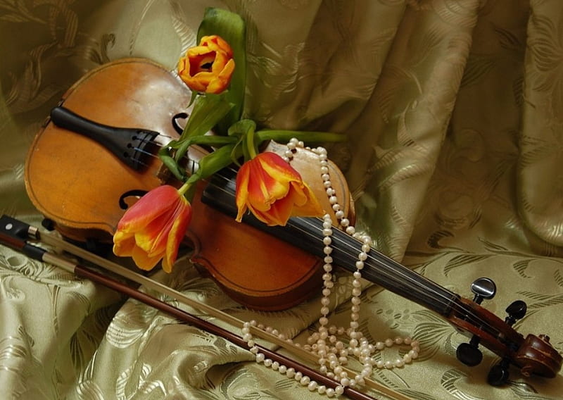 Spring symphony, violin, spring, abstract, still life, graphy, symphony, string, flowers, color, pearls, beads, other, HD wallpaper