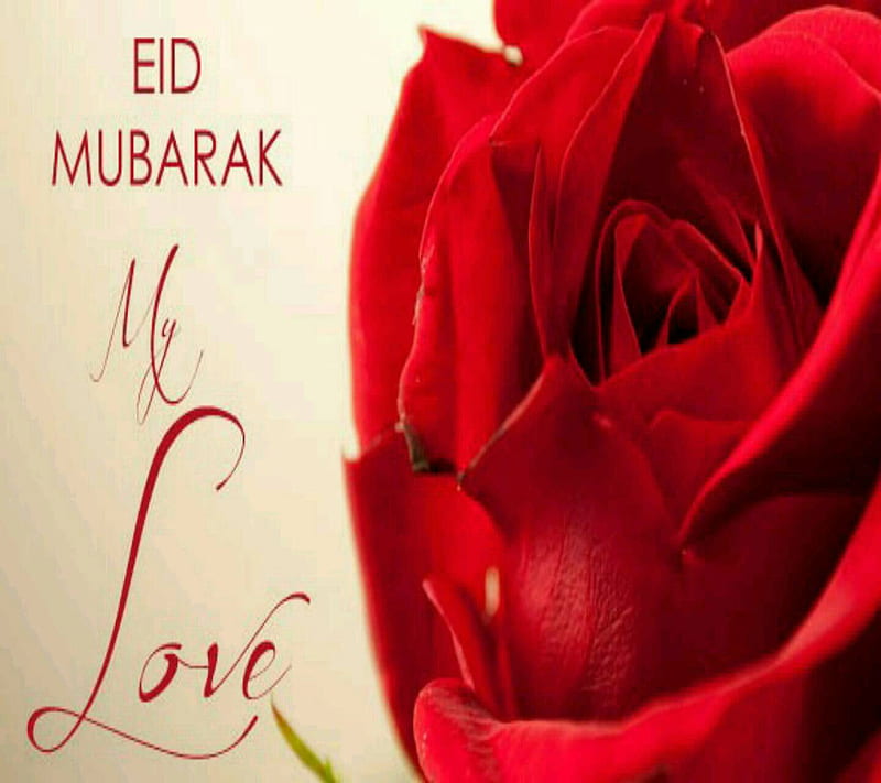 Eid mubarak for love, eid mubarak, for love, HD wallpaper