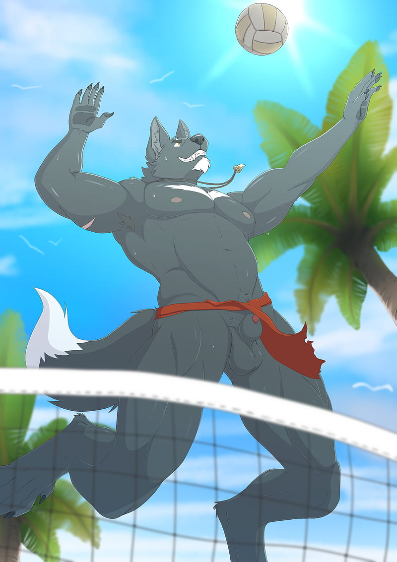 Volleyball, furry, yiff, HD phone wallpaper