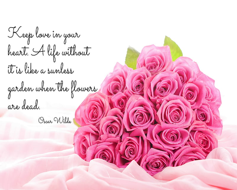 Love, love quote, lovely roses pink, HD wallpaper | Peakpx