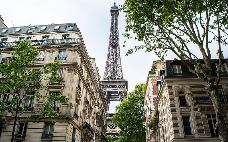 Paris, France, France, Eiffel tower, houses, Paris, HD wallpaper