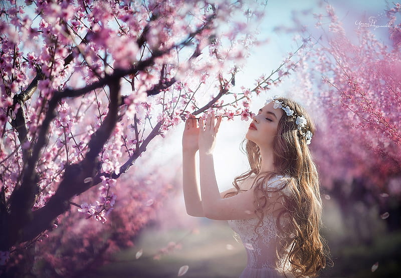 Spring, girl, model, flower, irina nedyalkova, pink, woman, sakura ...