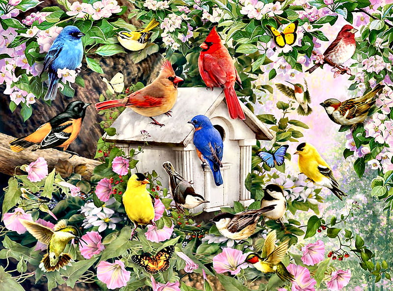 Birds at the Birdhouse F, hummingbirds, warbler, bonito, illustration ...