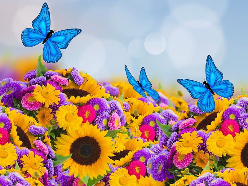 Paradise, butterflies, flowers, HD wallpaper | Peakpx