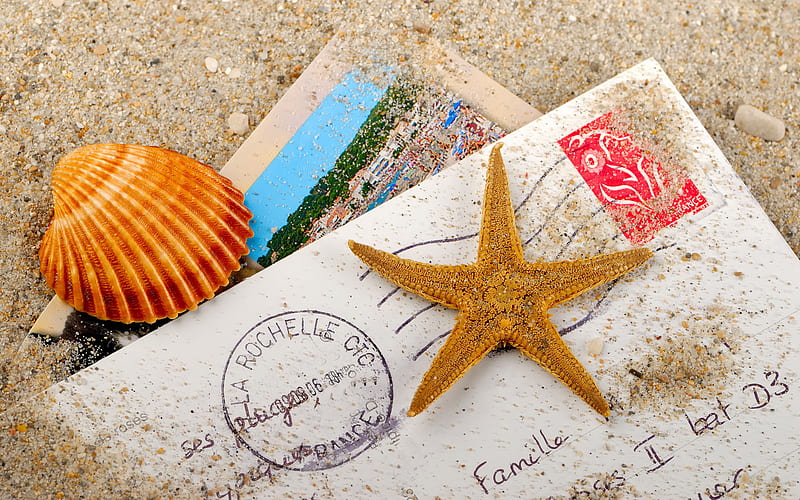 Postcard, friend, lovely, relax, bonito, greeting, sea, beach, graphy, sand, cool, shell, envelope, shells, star, letter, HD wallpaper