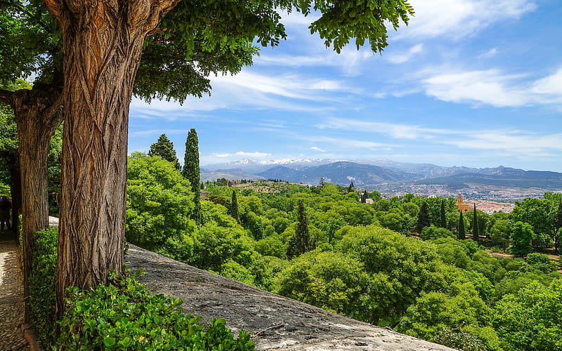 green forest, mountain landscape, blue sky, mountains, Granada, Spain, HD wallpaper