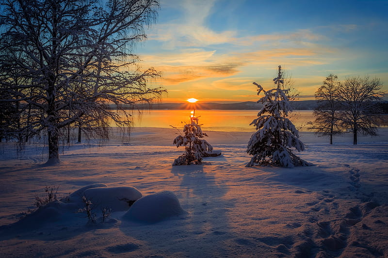 Snow drifts, Sweden, forest, shore, sunset, trees, winter, Arvika, snow, river, HD wallpaper
