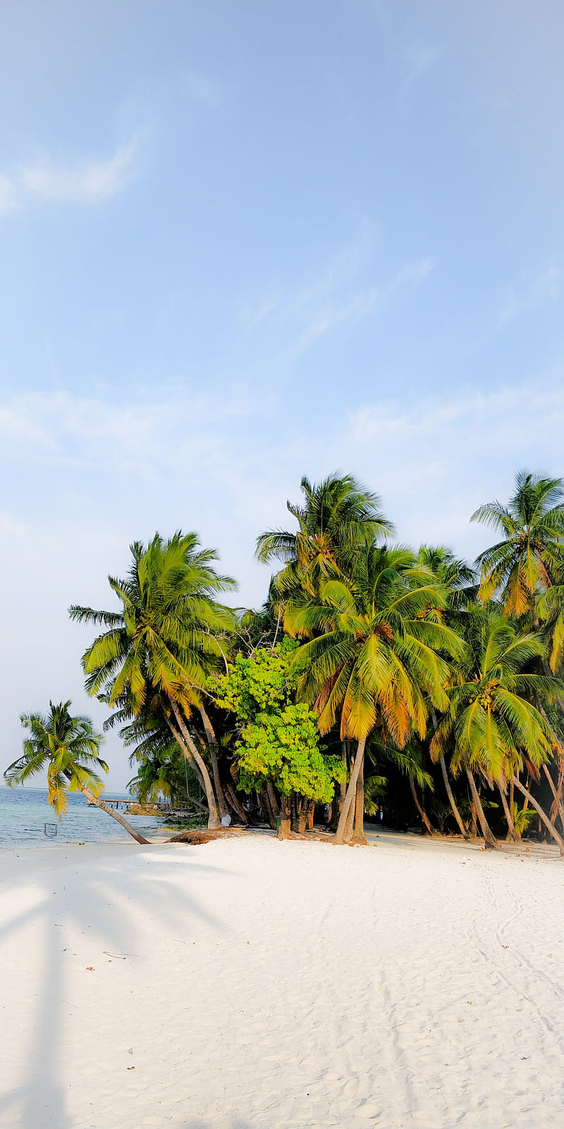 Heaven, chill, honeymoon, magoodhoo, maldives, natural, sunny, untouched, HD phone wallpaper