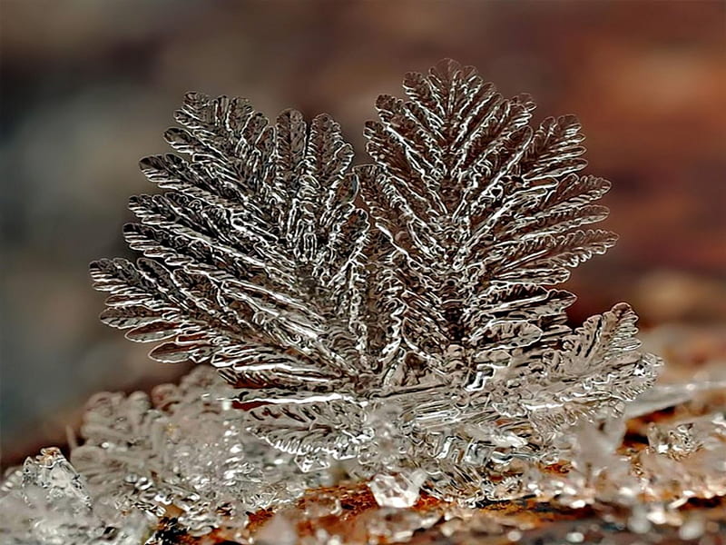 WAVES OF ICE CRYSTALS, crystals, drops, winter, cool, close up, snow, macro, ice, HD wallpaper