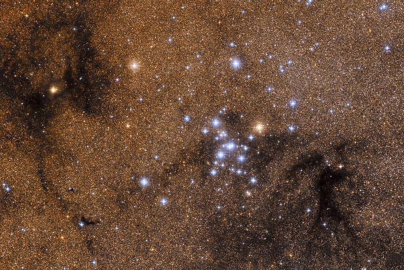 M7 Open Star Cluster in Scorpius, stars, fun, space, galaxy, HD wallpaper