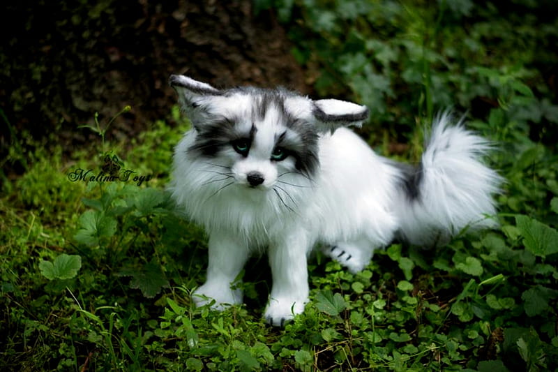 Toy Arctic Marble Fox, Fox, Arctic, Marble, Toy, HD wallpaper
