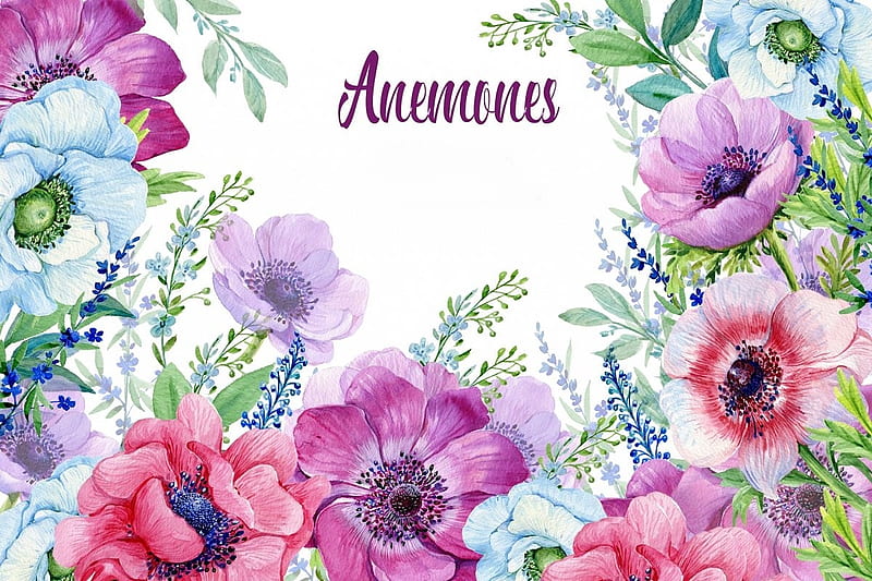 :), green, texture, summer, flower, pink, anemone, pattern, art, vara, paper, watercolor, HD wallpaper