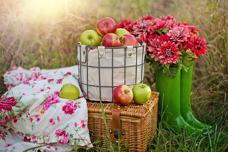 Food, Picnic, Apple, Basket, Chrysanthemum, Flower, Fruit, HD wallpaper