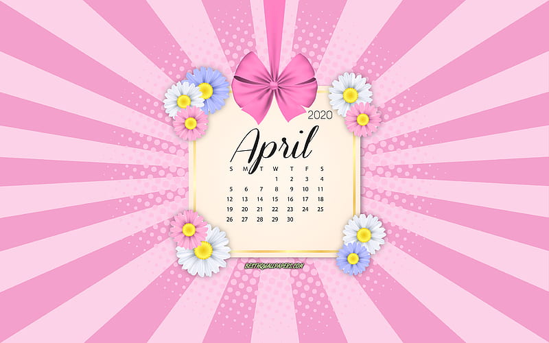 2020 April Calendar, pink background, spring 2020 calendars, April, 2020 calendars, spring flowers, retro style, April 2020 Calendar, calendar with flowers, HD wallpaper