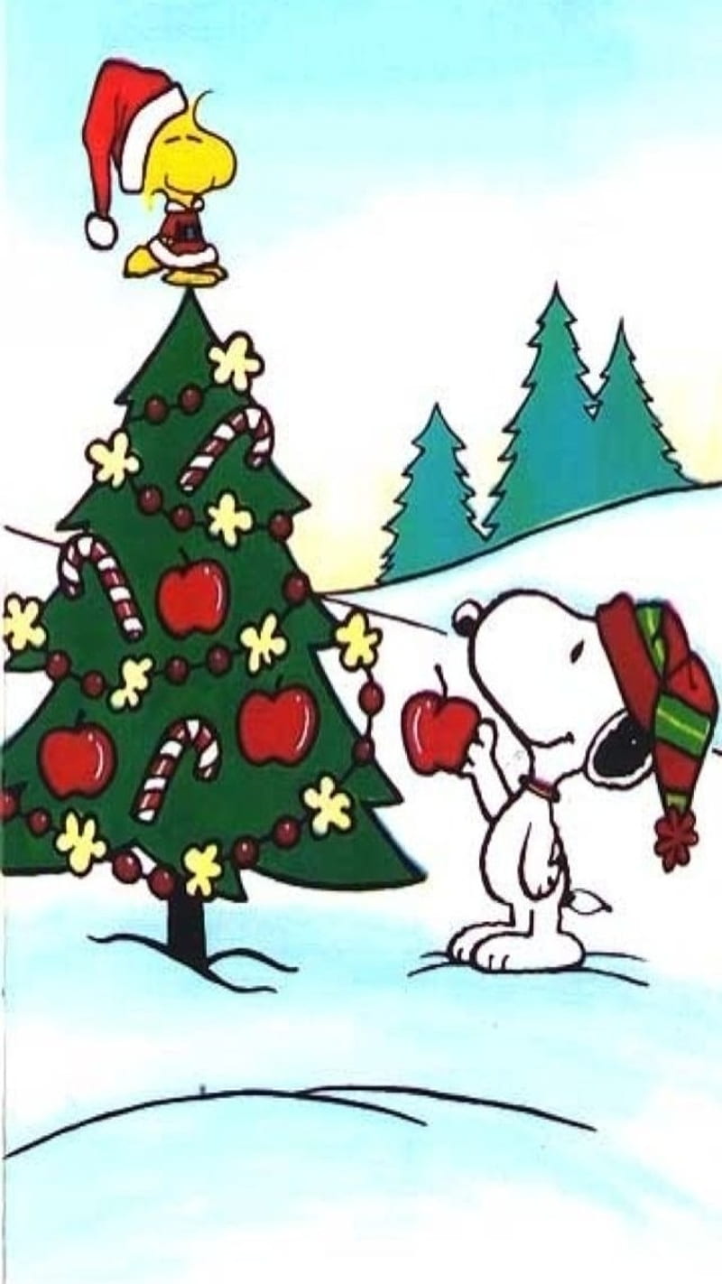 Snoopy Is Looking Up HD Snoopy Christmas Wallpapers  HD Wallpapers  ID  55046