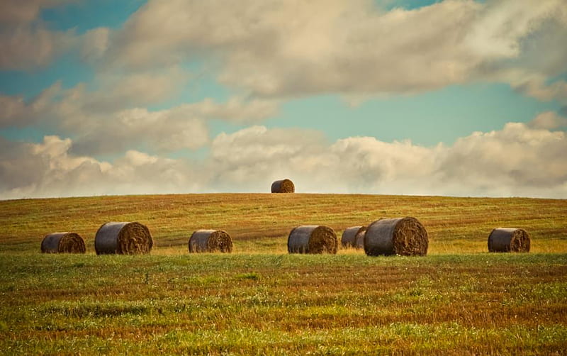 Rolling Autumn Field, autumn, harvest, rolling, sky, field, HD wallpaper |  Peakpx