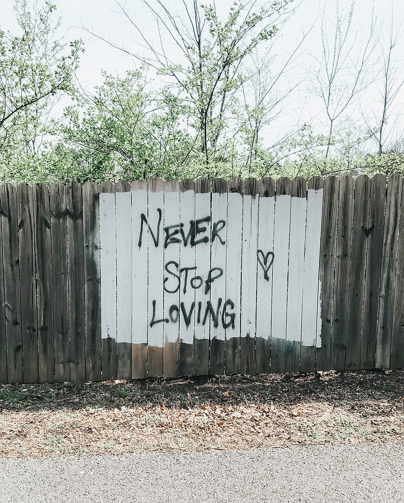 words, love, inscription, fence, HD phone wallpaper