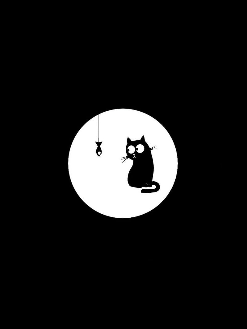 black cat, fish, witch, funny, HD phone wallpaper
