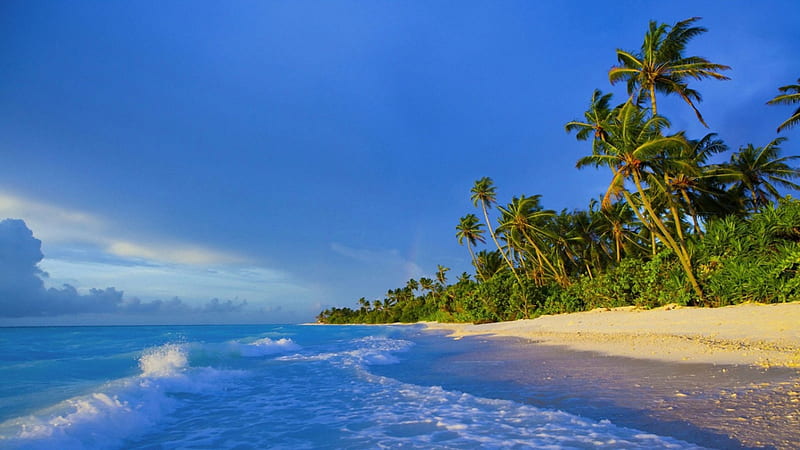 Maldives Beach, islands, ocean, waves, clouds, storm, palms, HD wallpaper