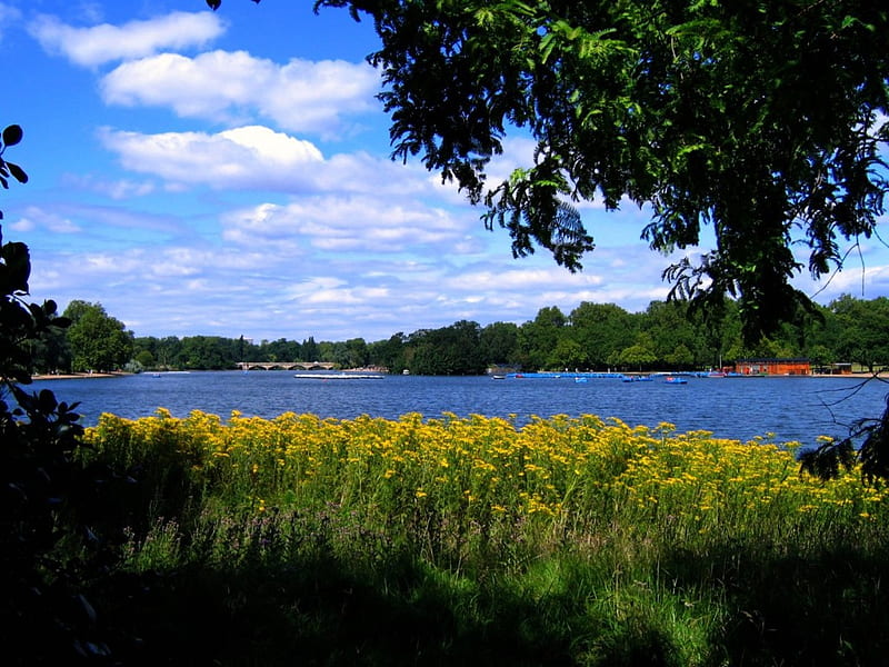 the serpentine lake in hyde park london, nature, park, trees, lake, HD wallpaper