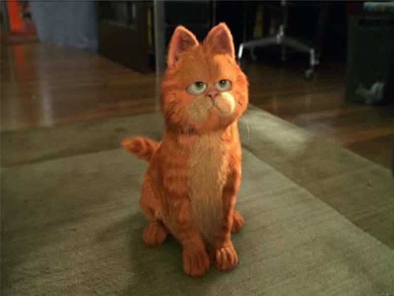 Attentive Garfield, movie, sitting, room, garfield, cat, HD wallpaper