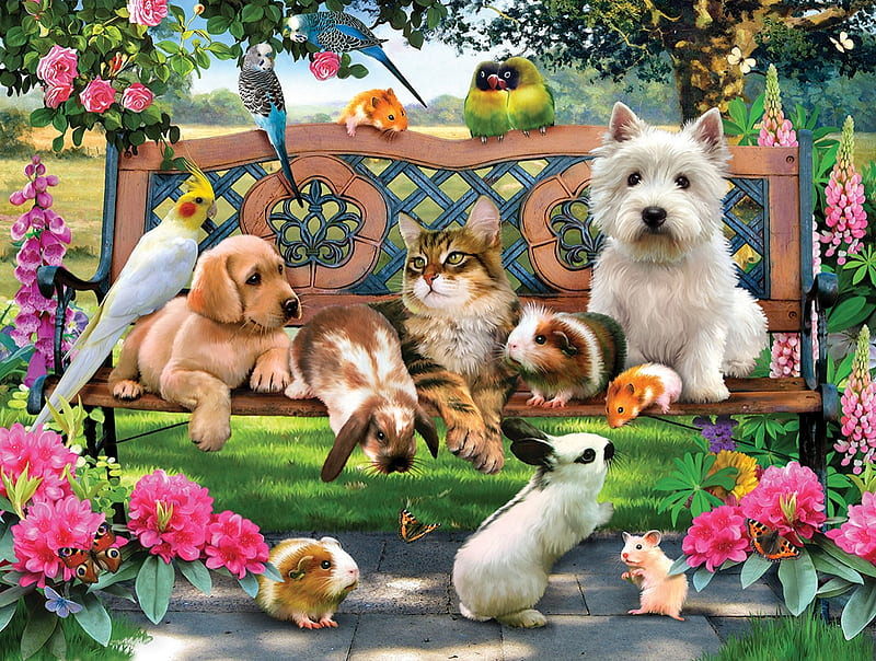 Pets, luminos, caine, cat, pet, green, bird, mouse, summer, flower, garden, bunny, pink, pisica, dog, HD wallpaper
