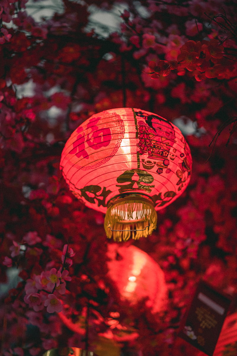 lantern, chinese, holiday, HD phone wallpaper