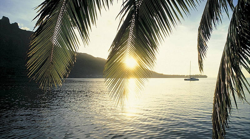 sunset on cooks bay moorea island polynesia, mountain, boat, sunset, bay, palms, HD wallpaper