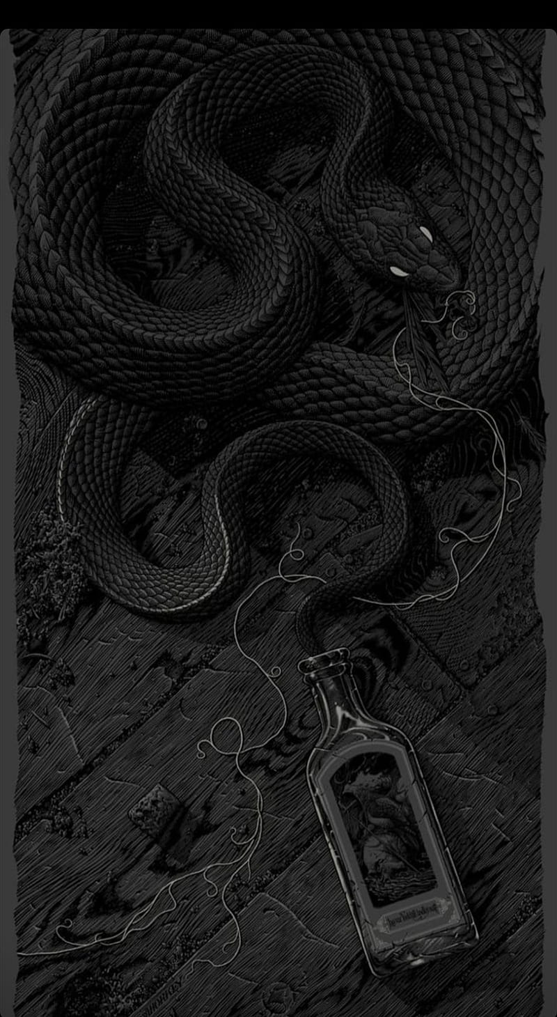 Snake, black, black snake, cool, HD phone wallpaper
