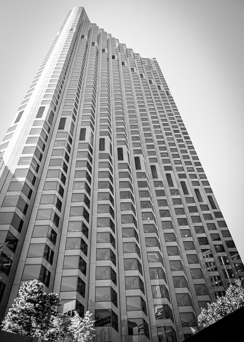 skyscraper, bottom view, black and white, HD phone wallpaper