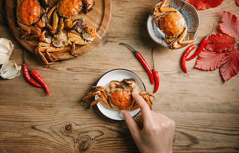 crab, crustaceans, seafood for , section еда -, HD wallpaper